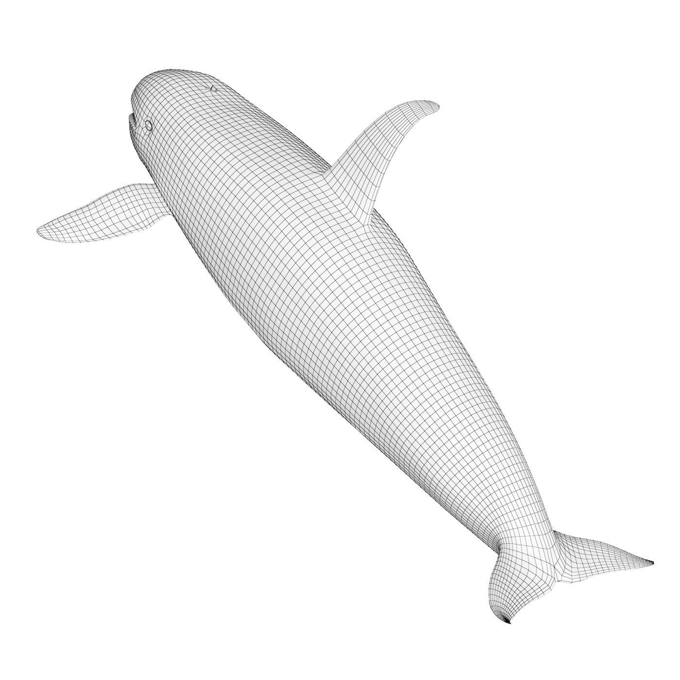 Killer whale Low-poly 3D model_8