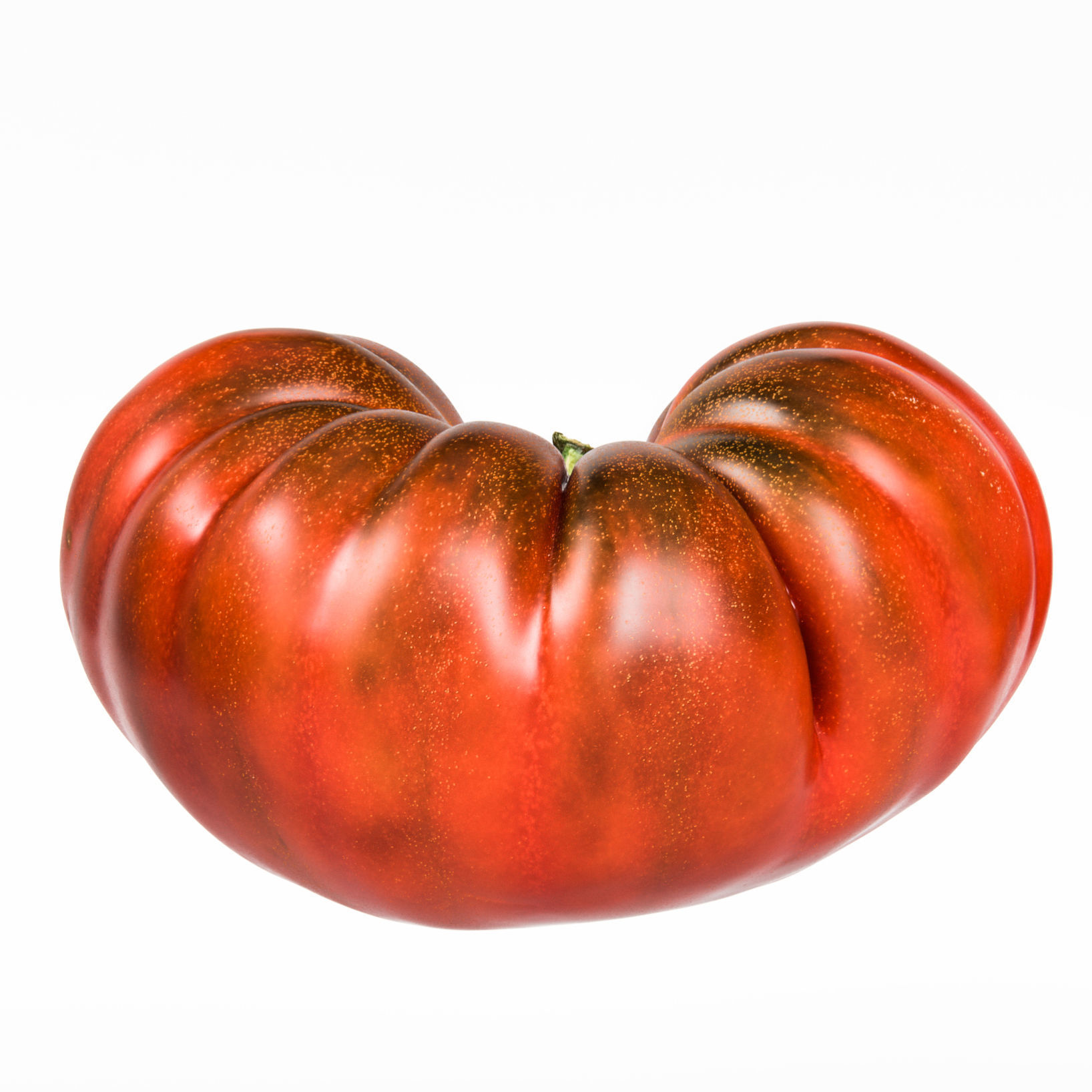 Tomato 3D model_6