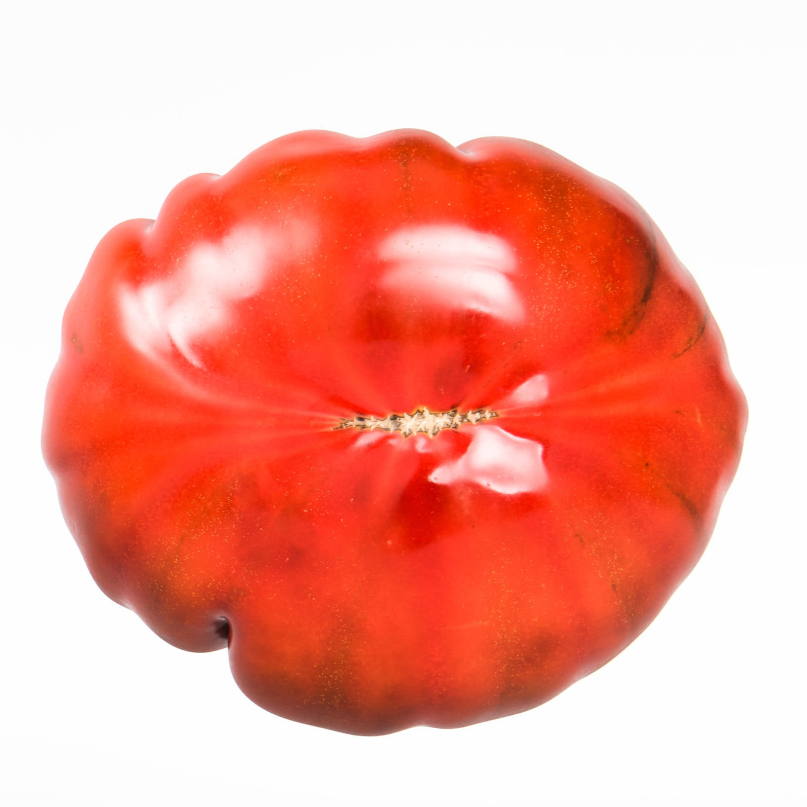 Tomato 3D model_7