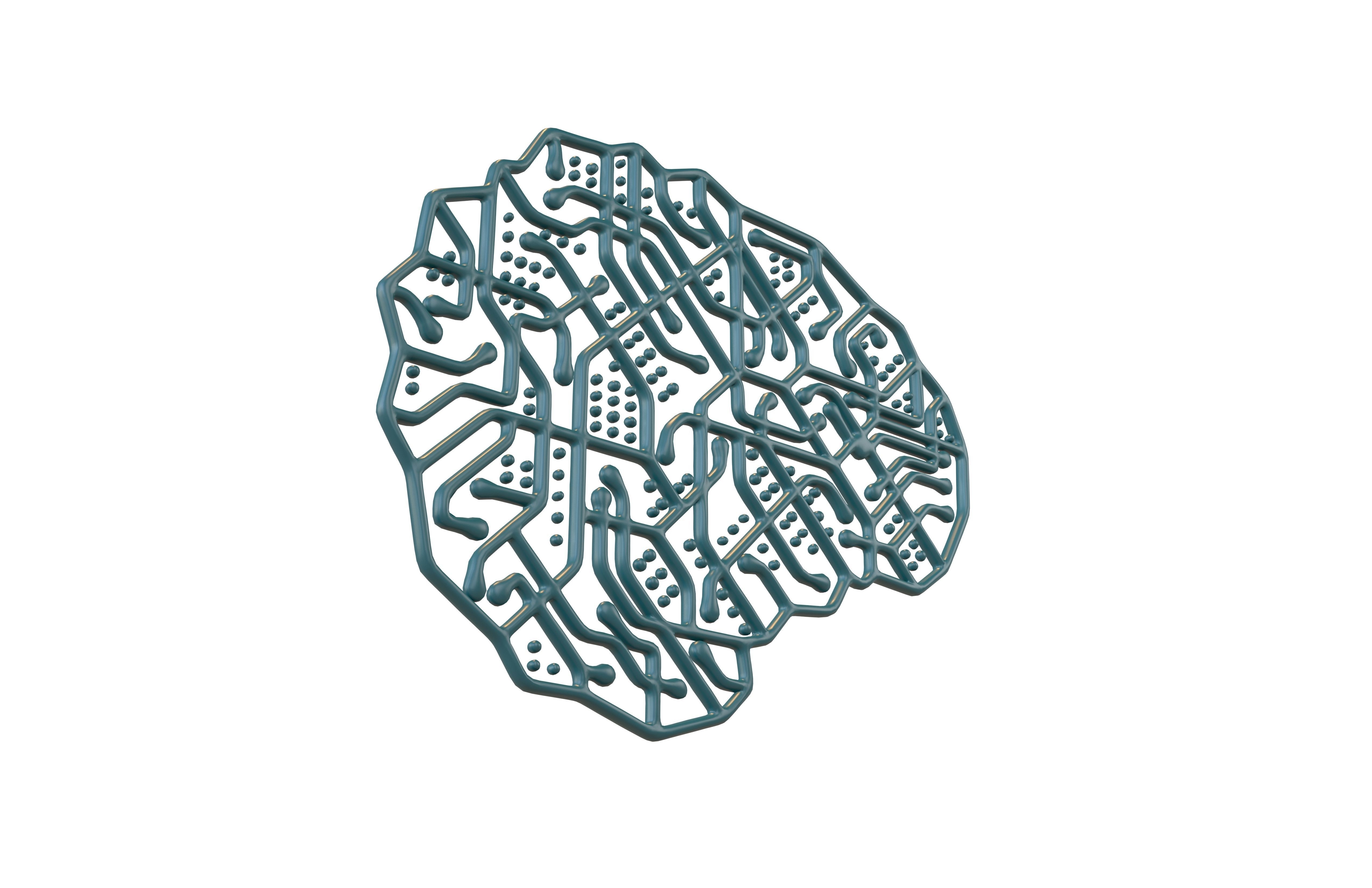Electronic Circuit Brain v1 003 3D model_3