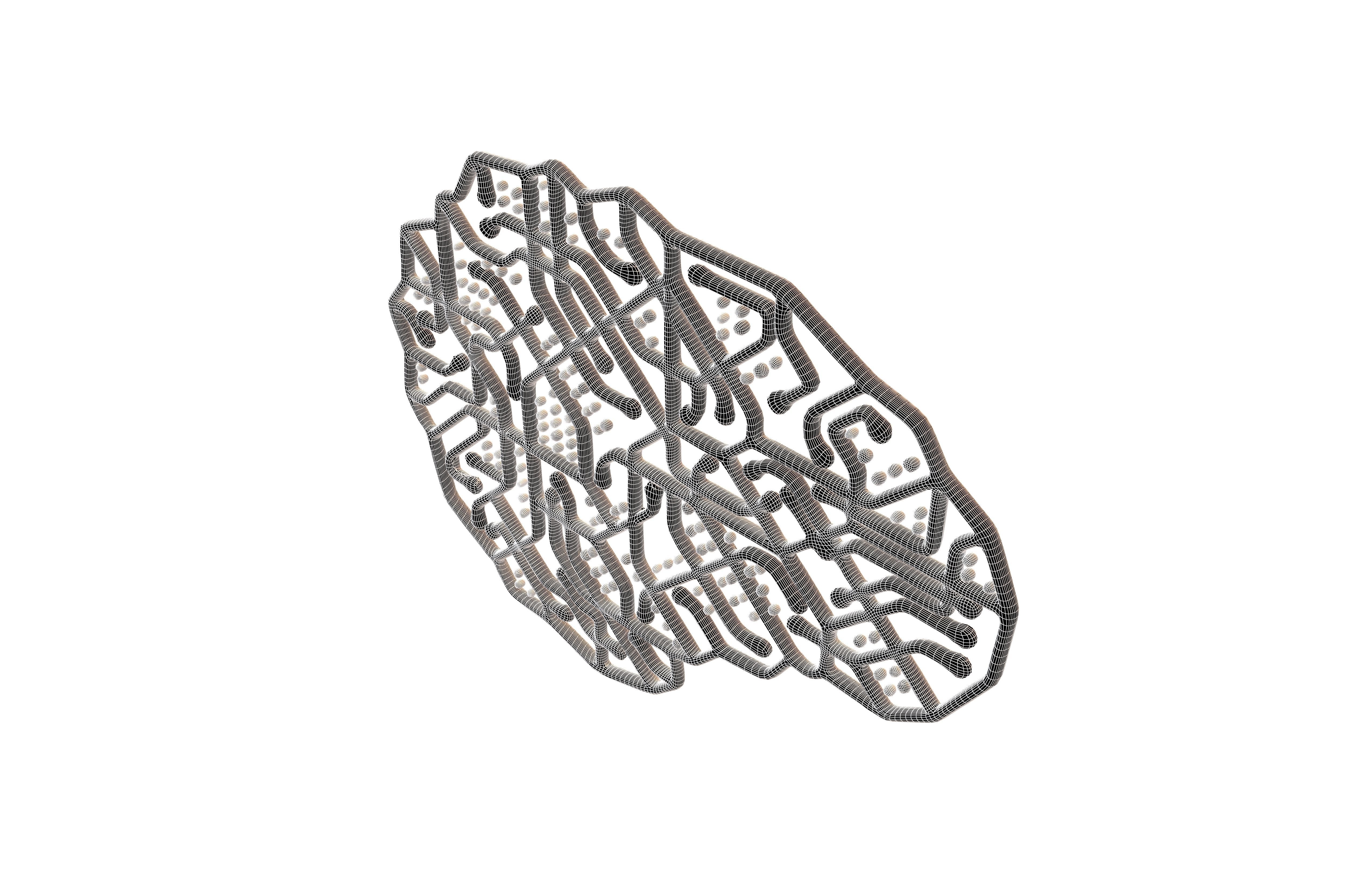 Electronic Circuit Brain v1 003 3D model_6