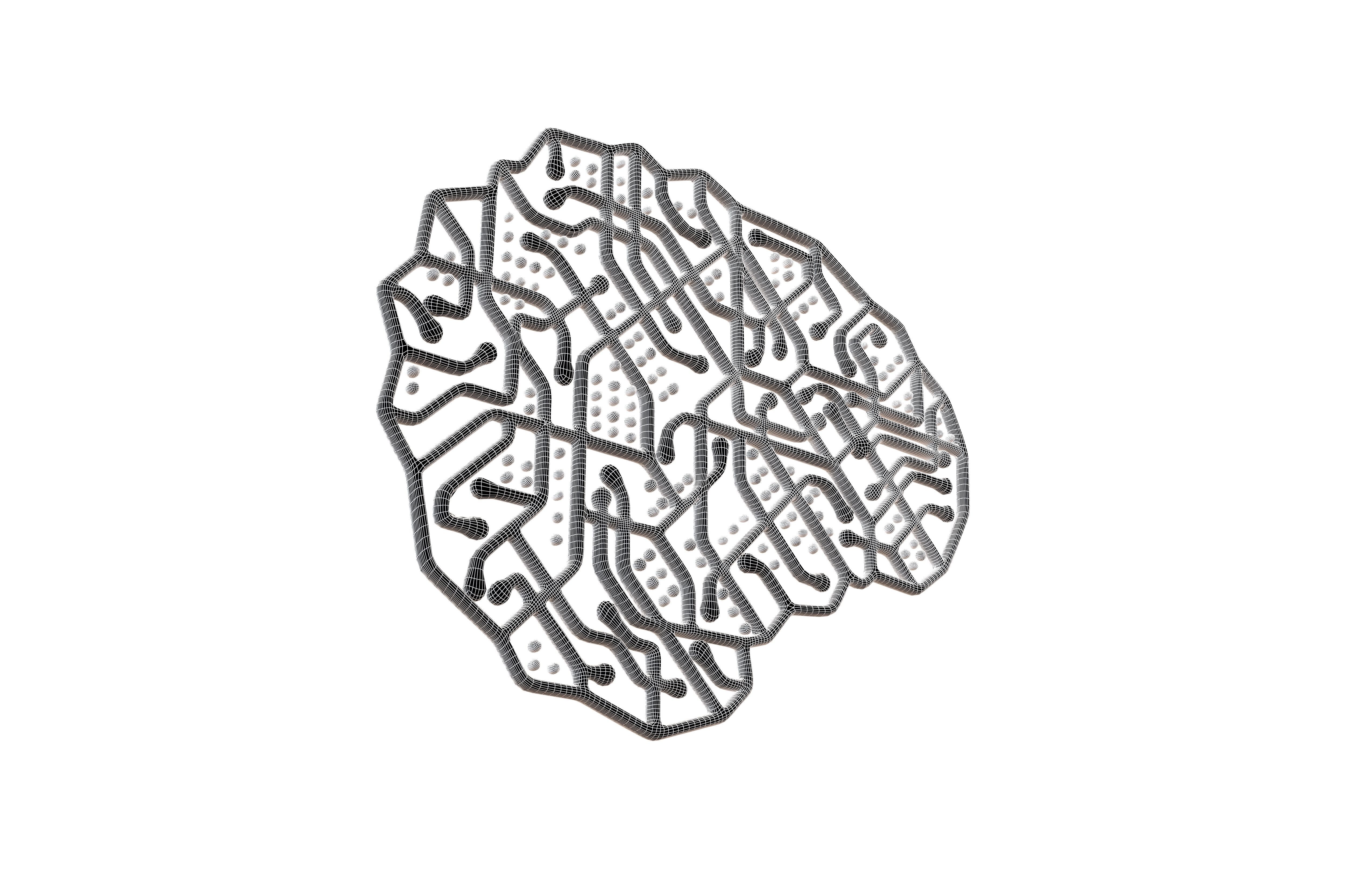 Electronic Circuit Brain v1 003 3D model_7