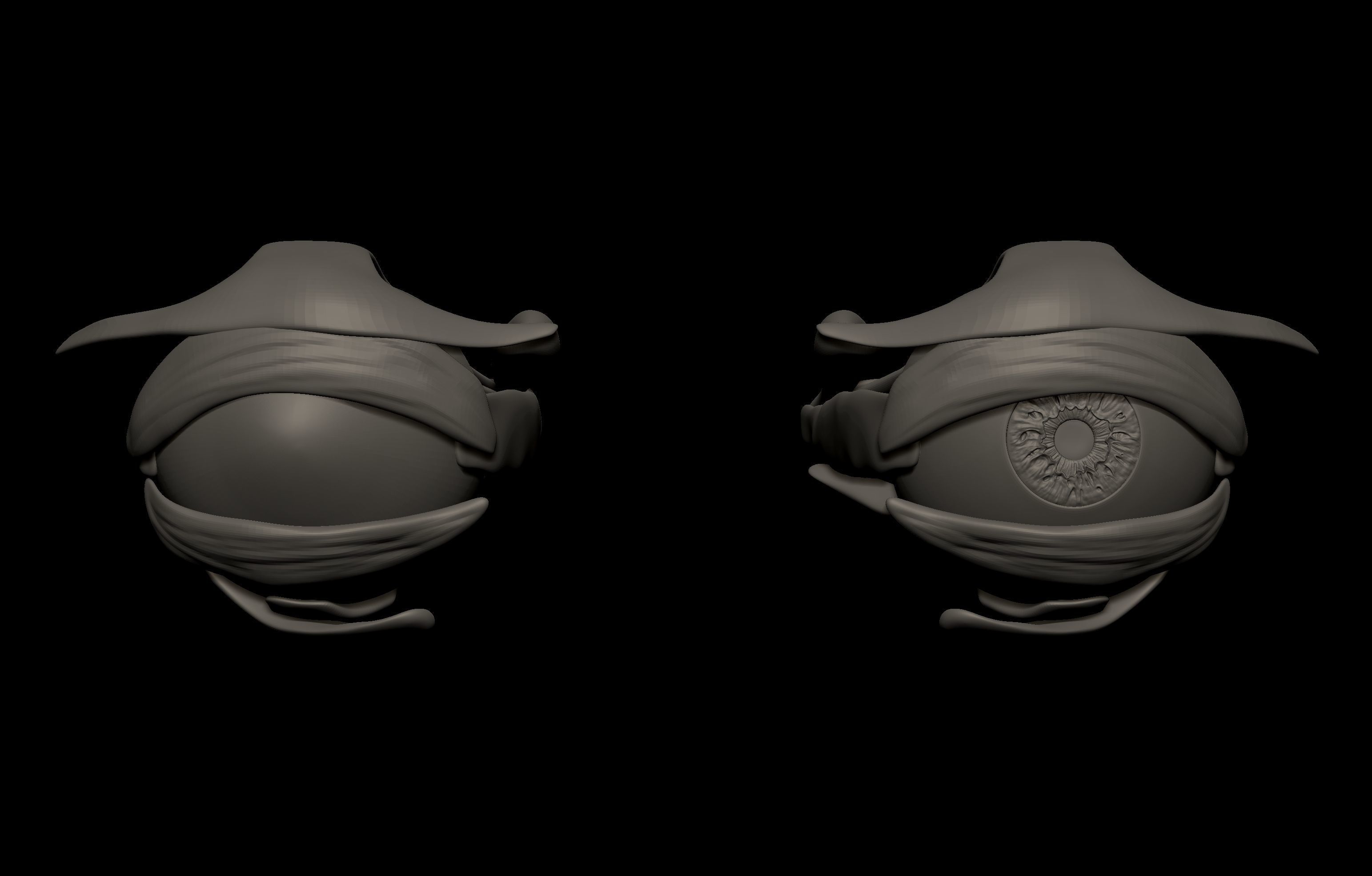 HD Female Complete Human 3D Anatomy Model PBR Low-poly 3D model_65