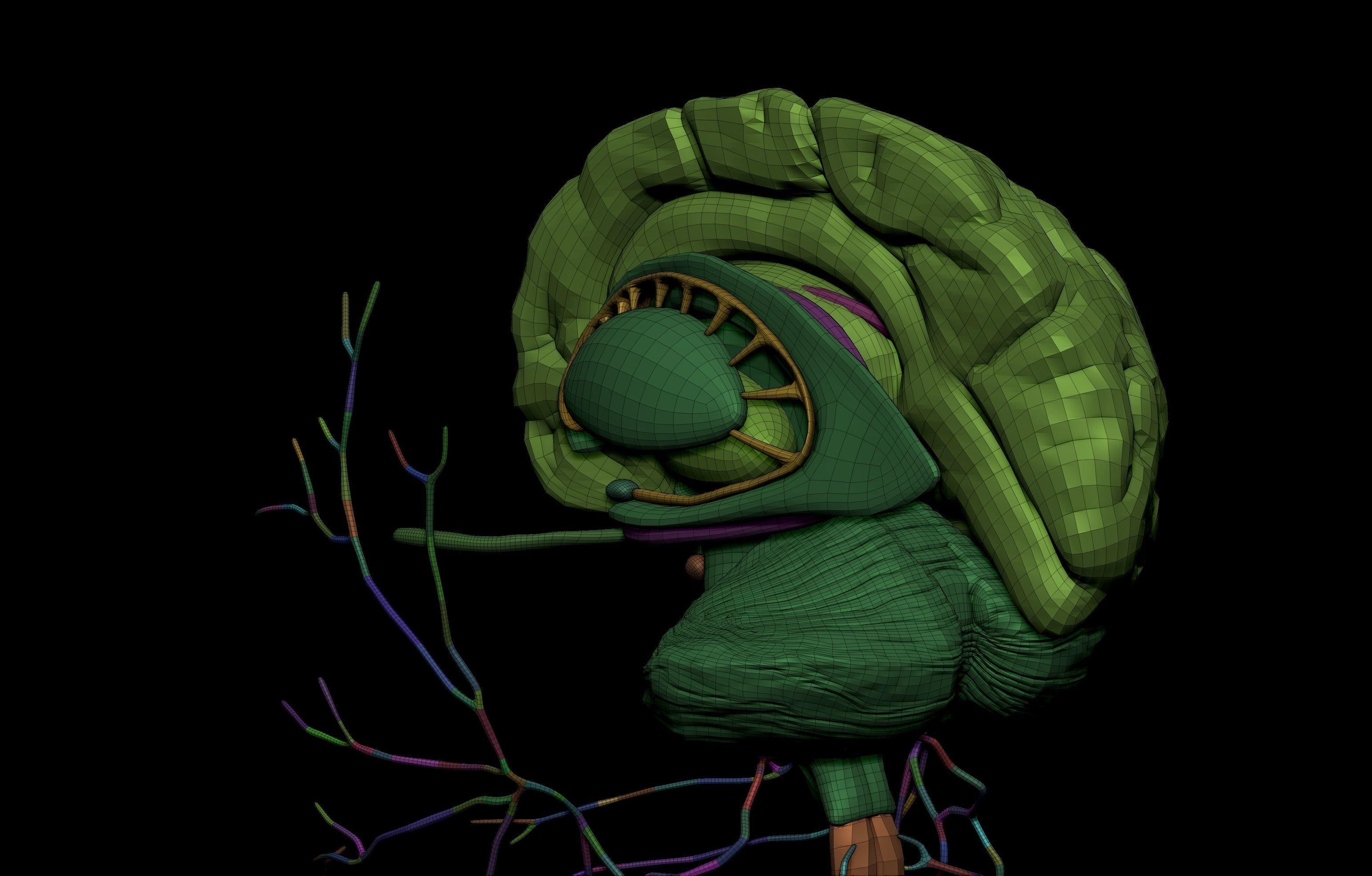 HD Female Complete Human 3D Anatomy Model PBR Low-poly 3D model_90