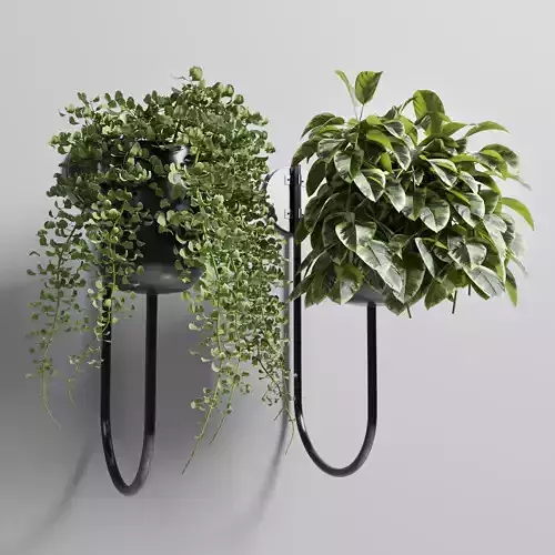Indoor plant plant wall metal vase 01