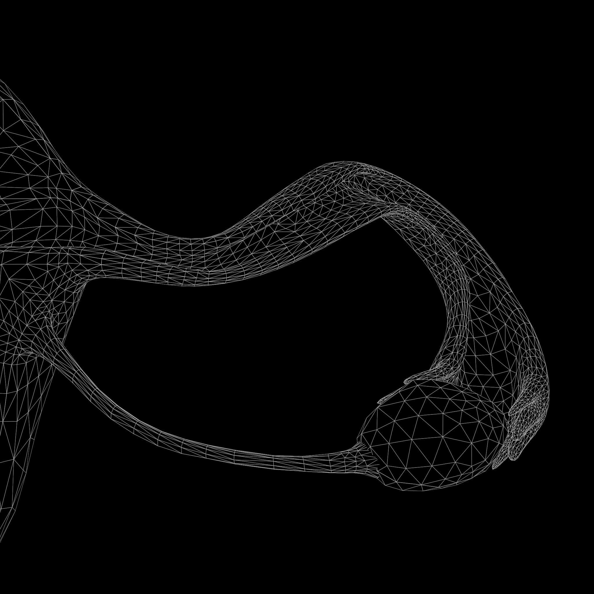 Female Reproductive System Low-poly 3D model_13