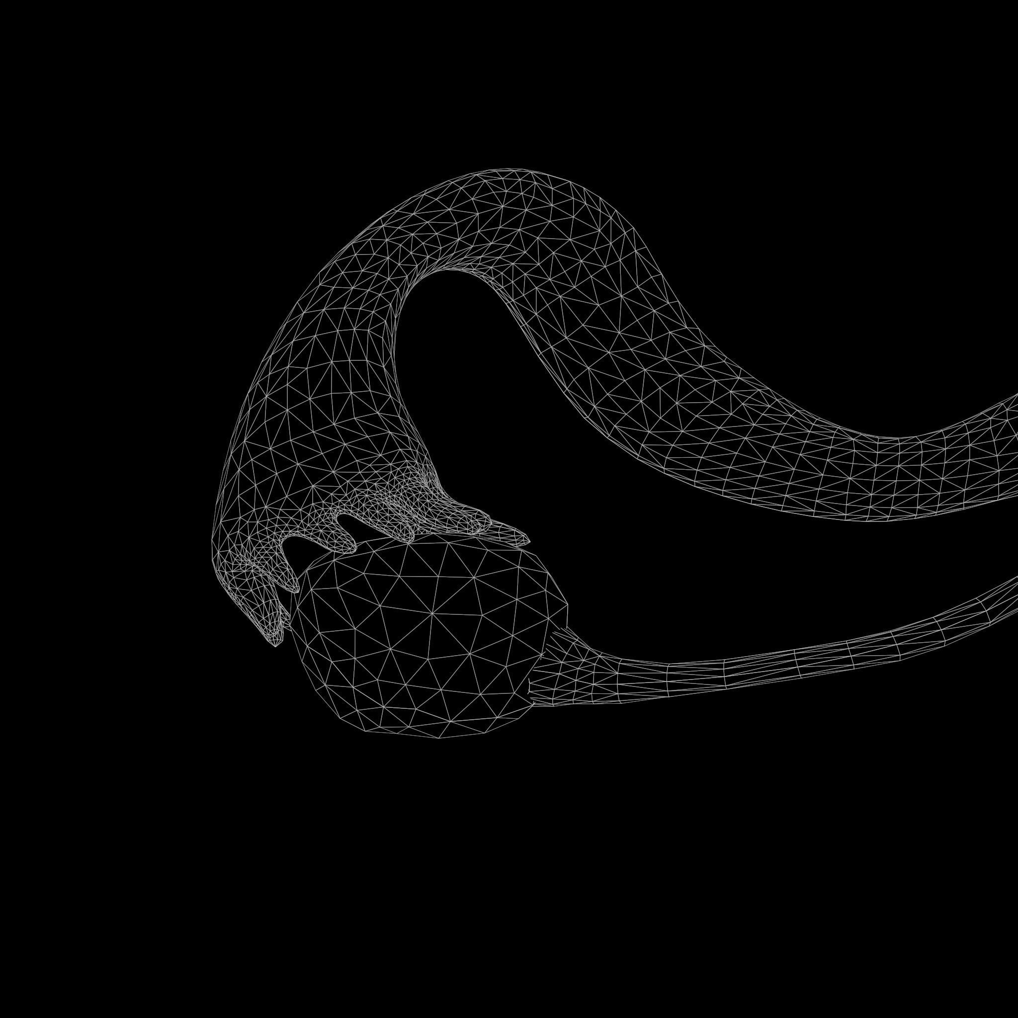 Female Reproductive System Low-poly 3D model_12