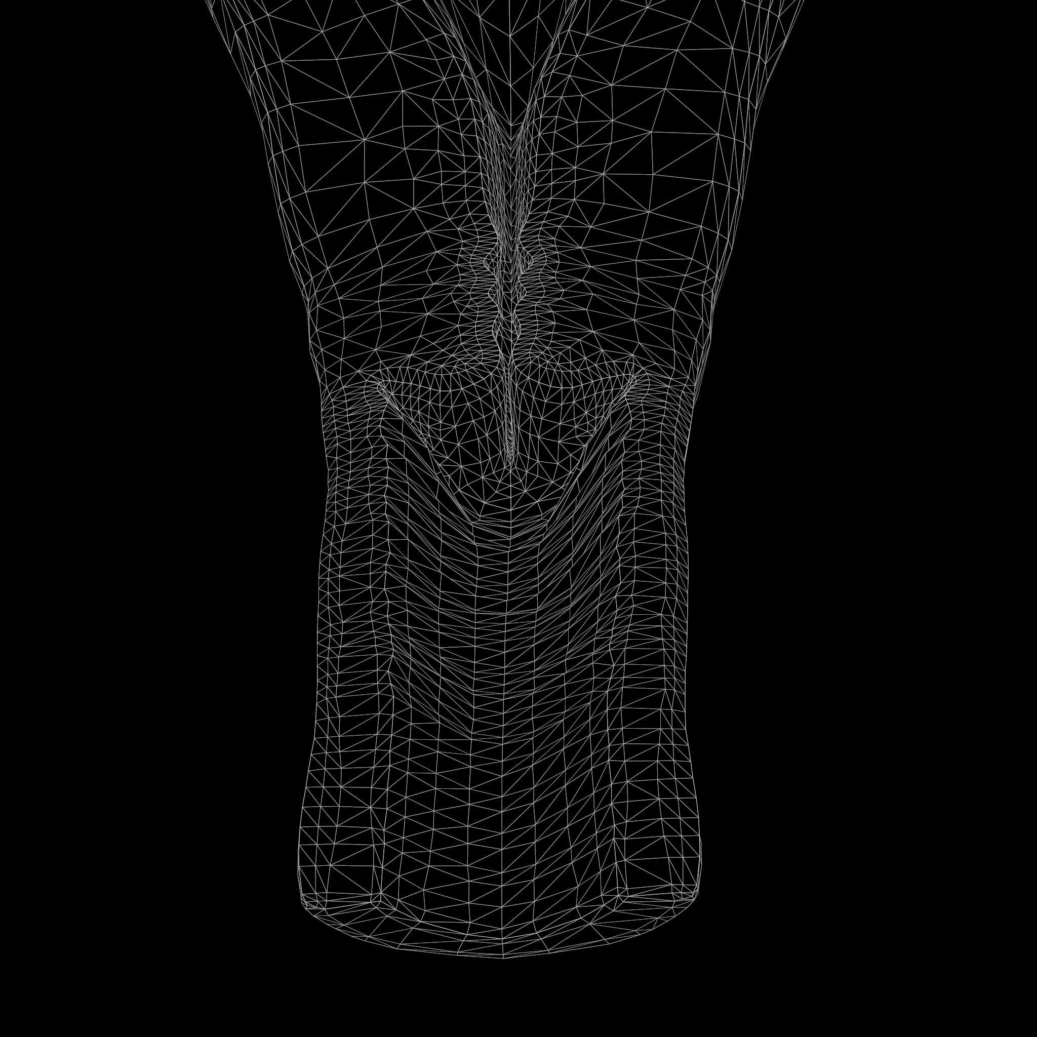 Female Reproductive System Low-poly 3D model_10