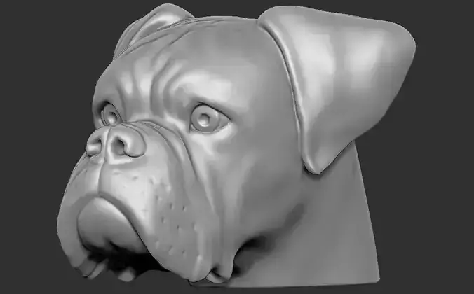 Boxer dog head for 3D printing 3D print model