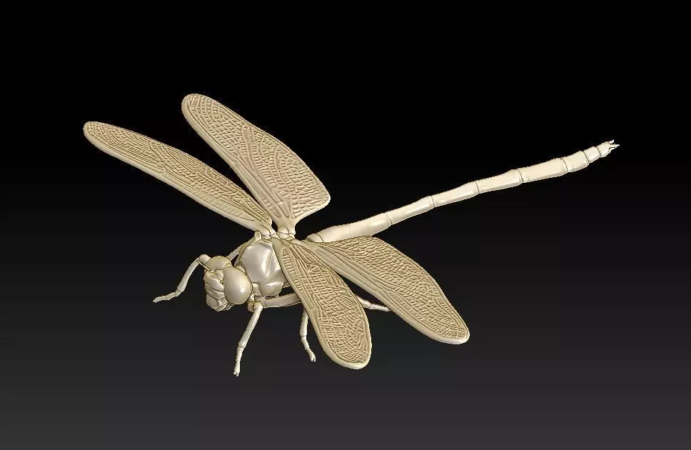 dragonfly 3D print model_0