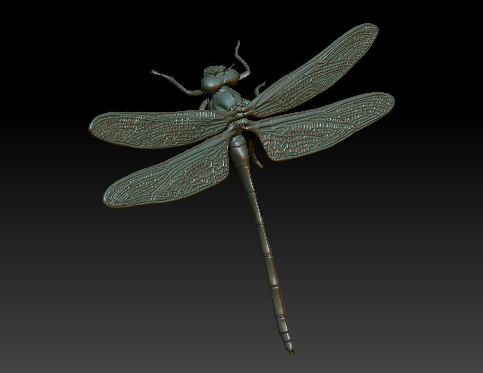 dragonfly 3D print model_1