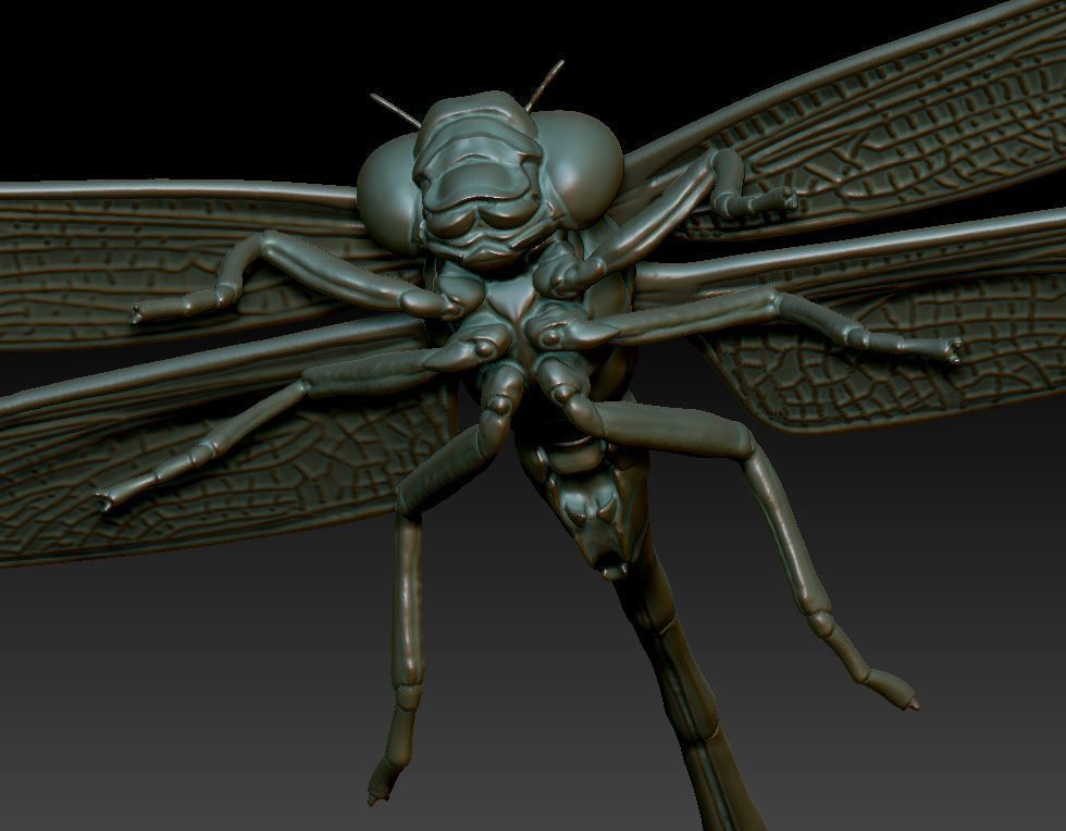dragonfly 3D print model_3