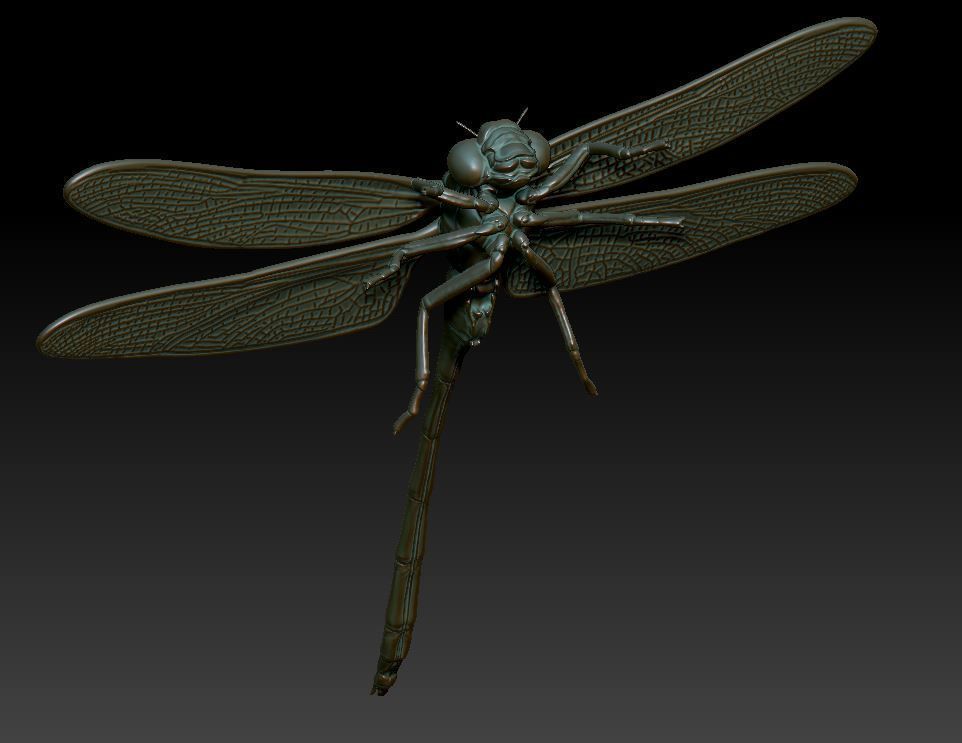dragonfly 3D print model_2