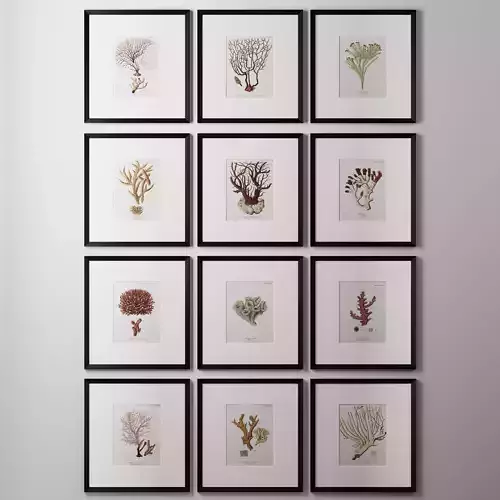 RH 18TH C GERMAN HAND-COLORED CORAL PRINTS COLLECTION