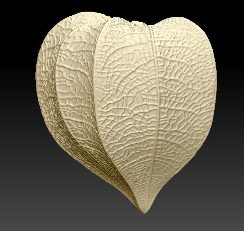 Physalis berry 3D print model_2