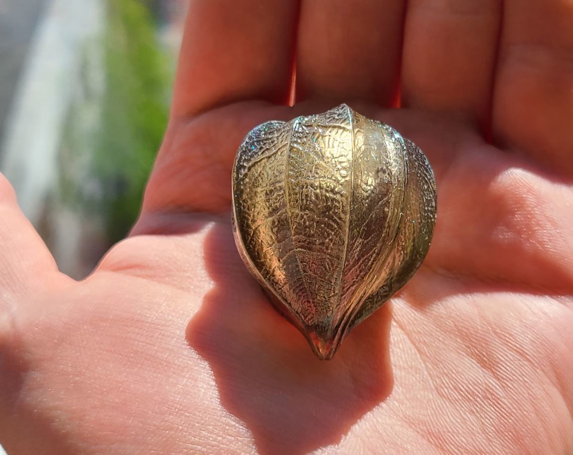 Physalis berry 3D print model_1