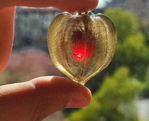 Physalis berry 3D print model
