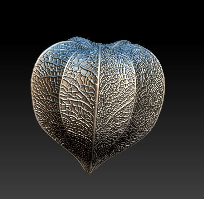 Physalis berry 3D print model_7