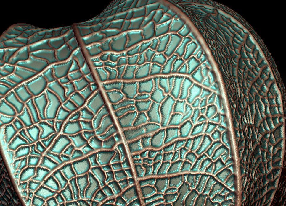 Physalis berry 3D print model_6