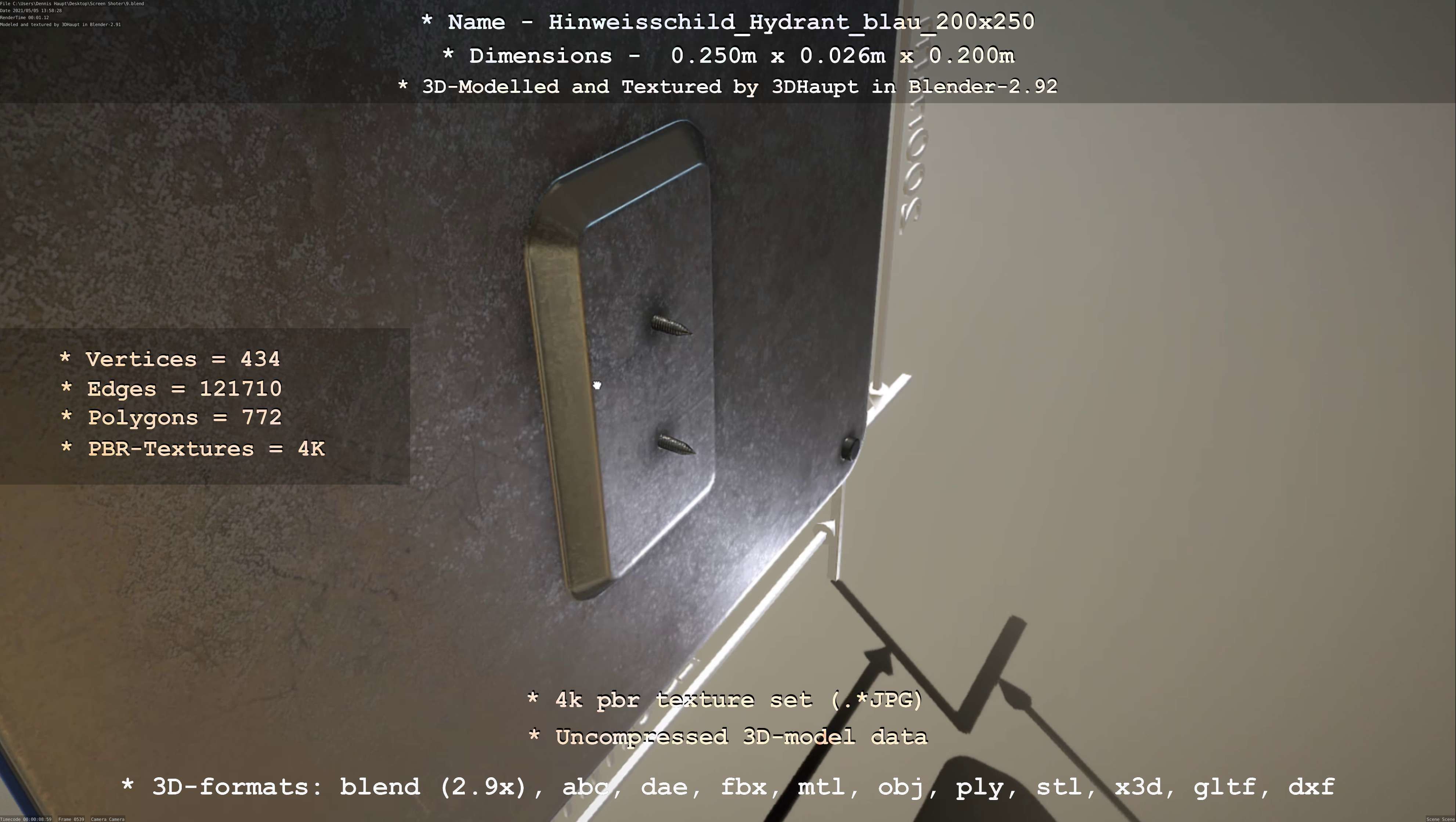 Hinweisschild Hydrant blau 200x250mm Low-poly 3D model_62