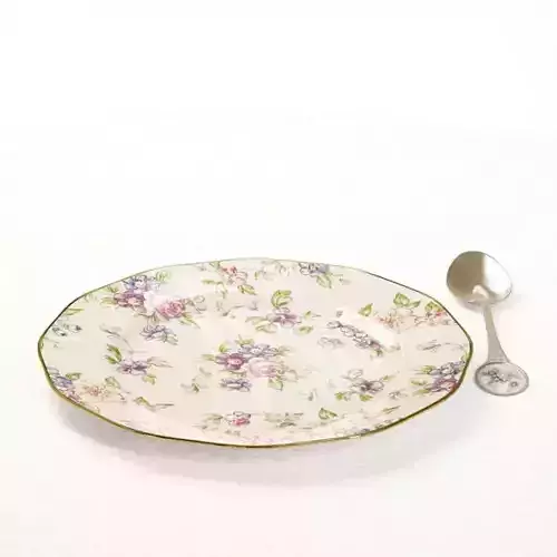 Porcelain Plate And Spoon