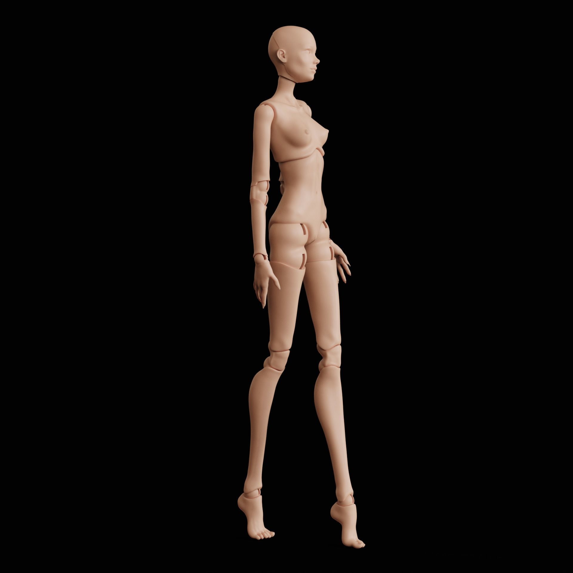 BJD doll Anna 30cm 3D print model_8