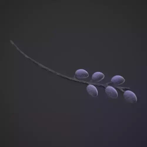 Pussy Willow Branch 3D model