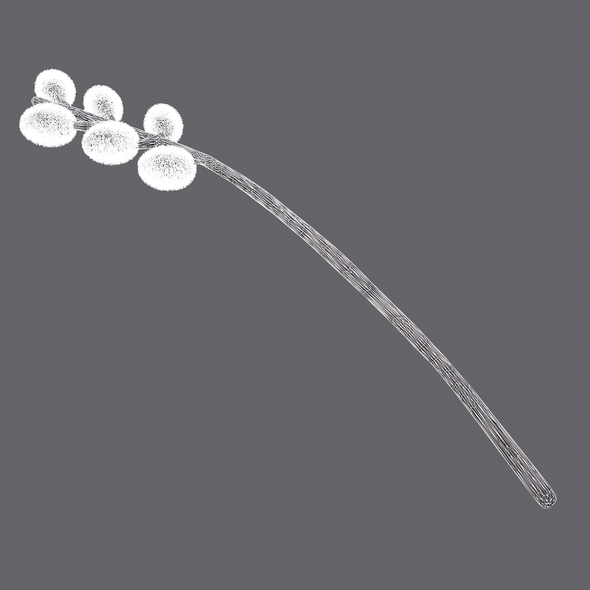 Pussy Willow Branch 3D model_15