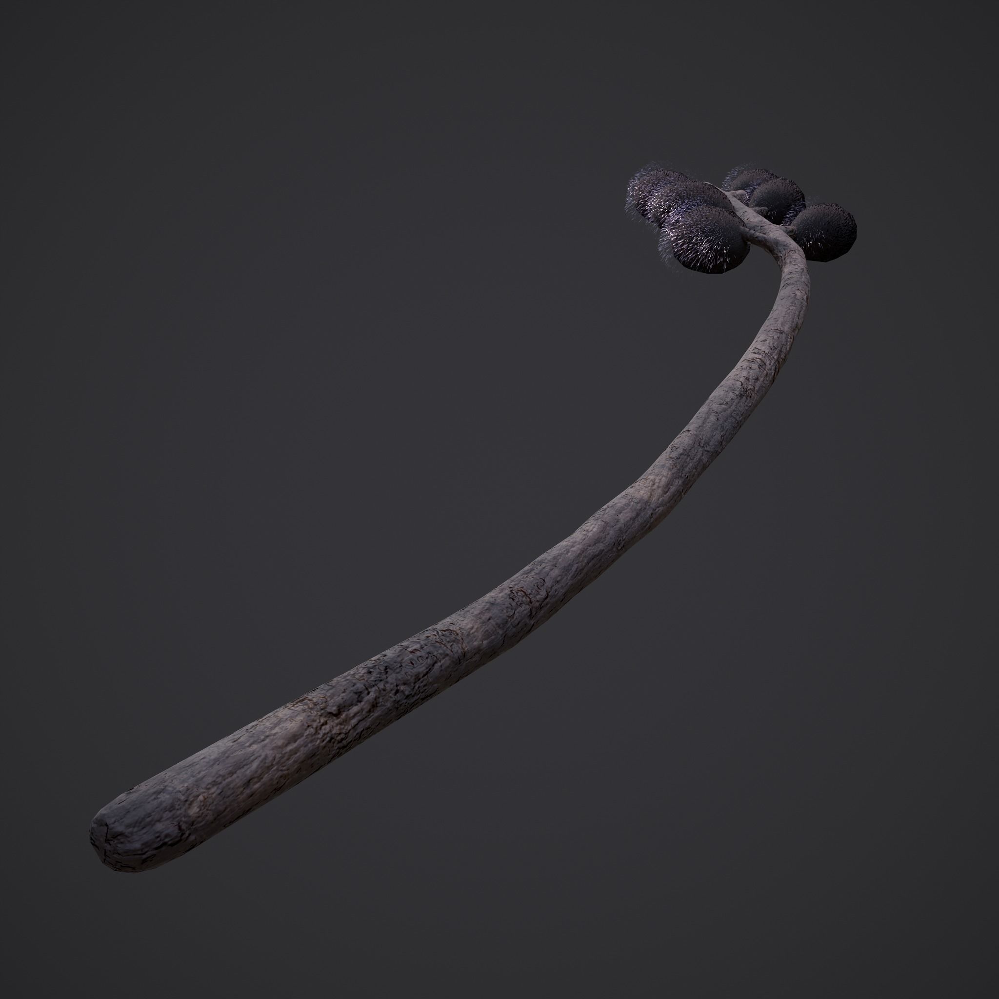 Pussy Willow Branch 3D model_7