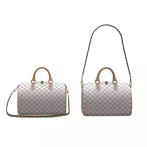 Louis-vuitton-handbag two louis vuitton speedy bags