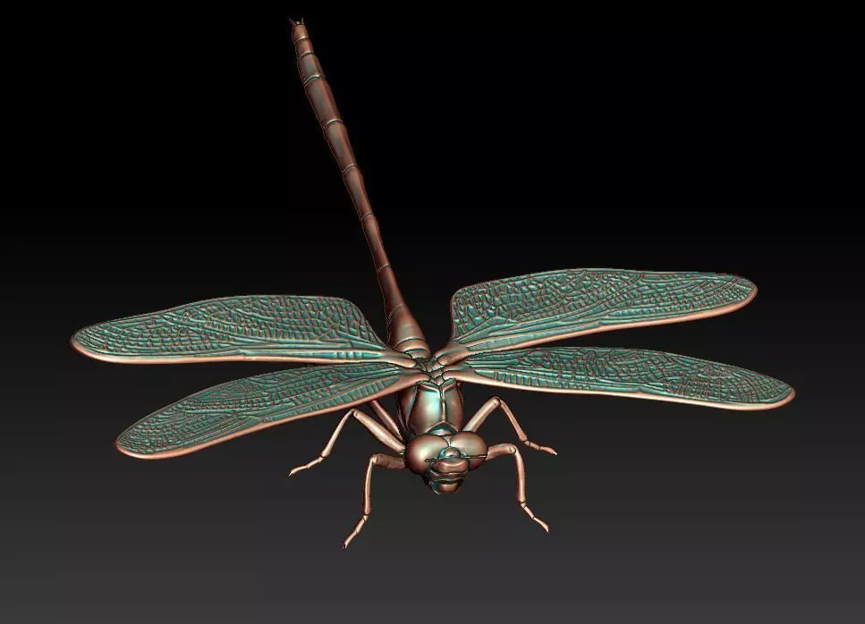 Dragonfly 3D print model_0