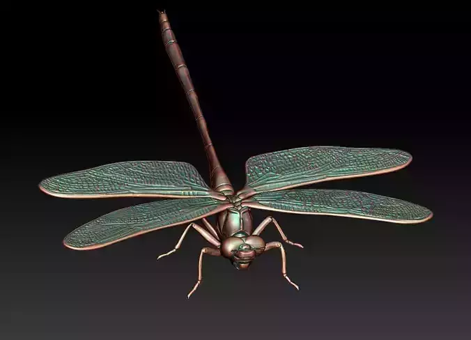 Dragonfly 3D print model