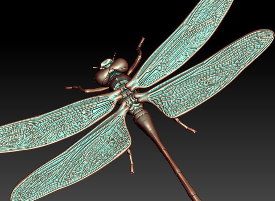Dragonfly 3D print model_2