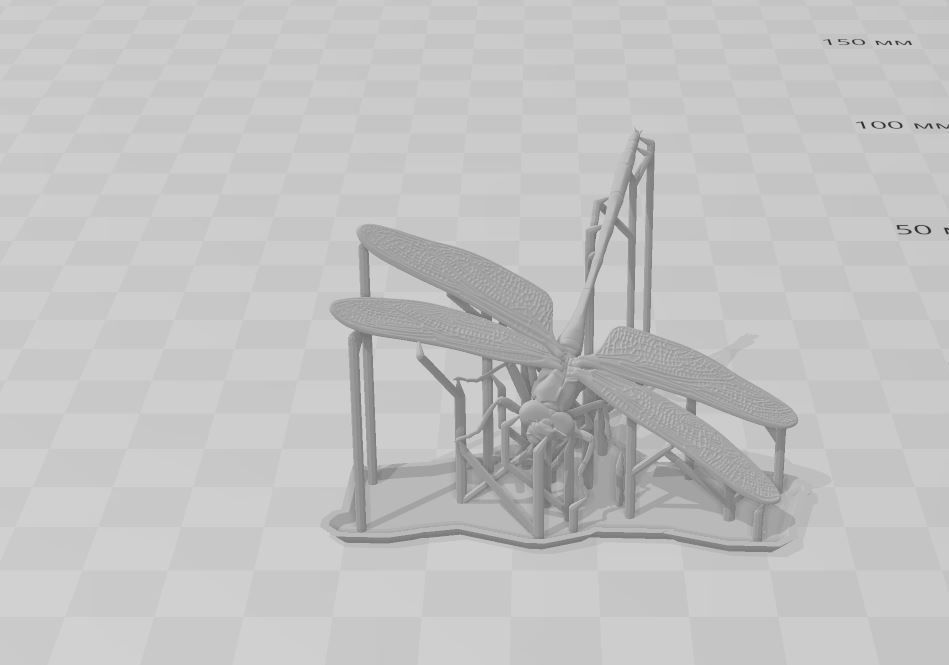 Dragonfly 3D print model_4