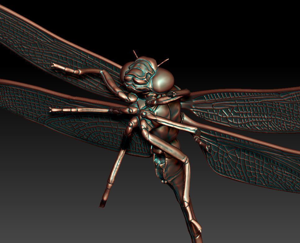 Dragonfly 3D print model_1