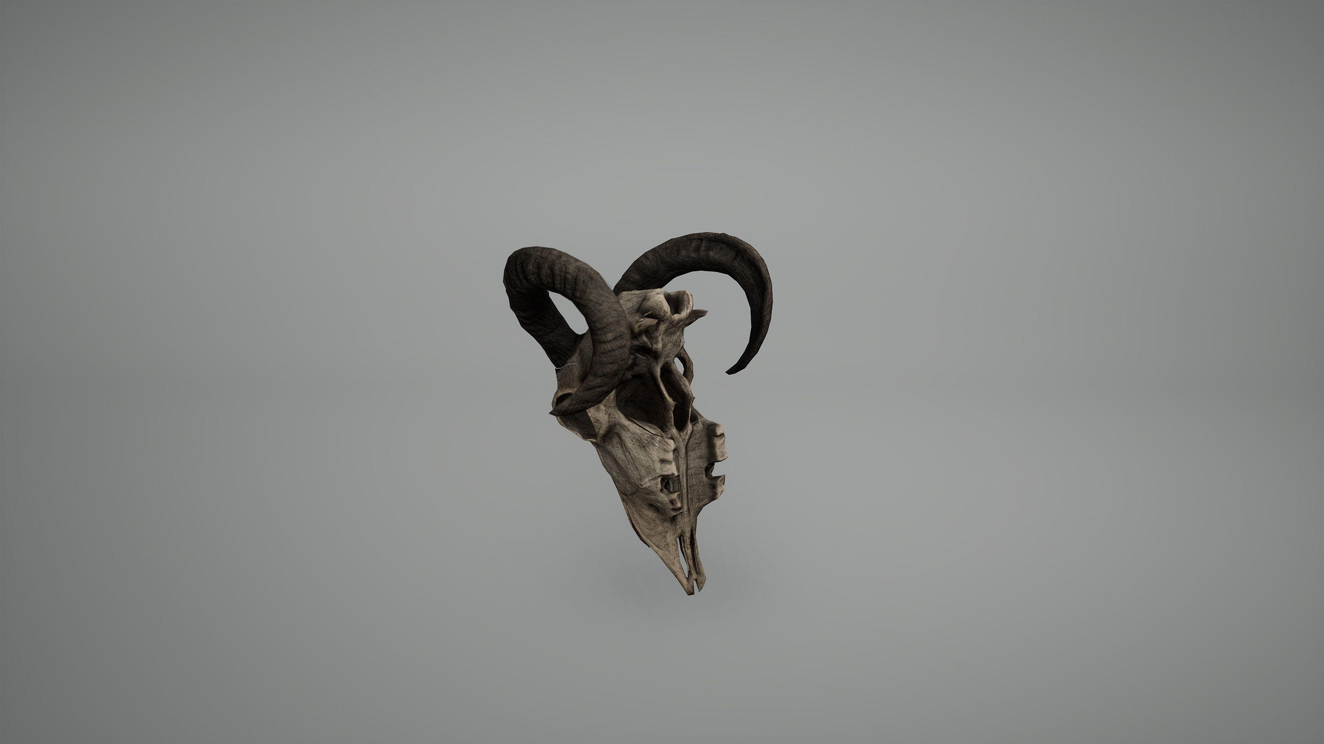 Viking Ram Skull Low Poly Game Ready Low-poly 3D model_3