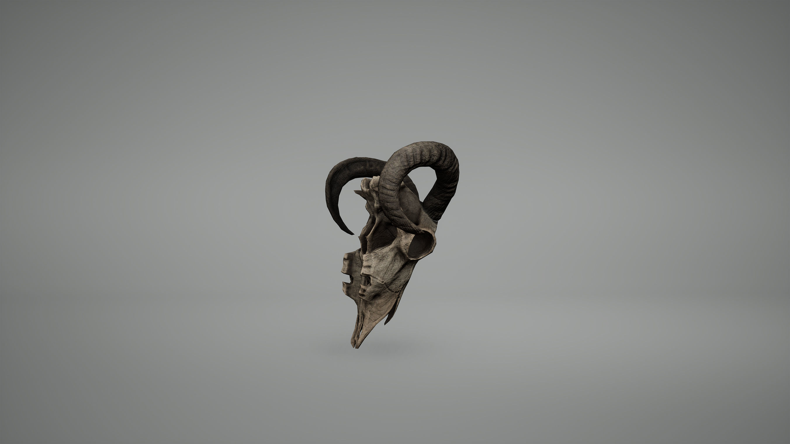 Viking Ram Skull Low Poly Game Ready Low-poly 3D model_2