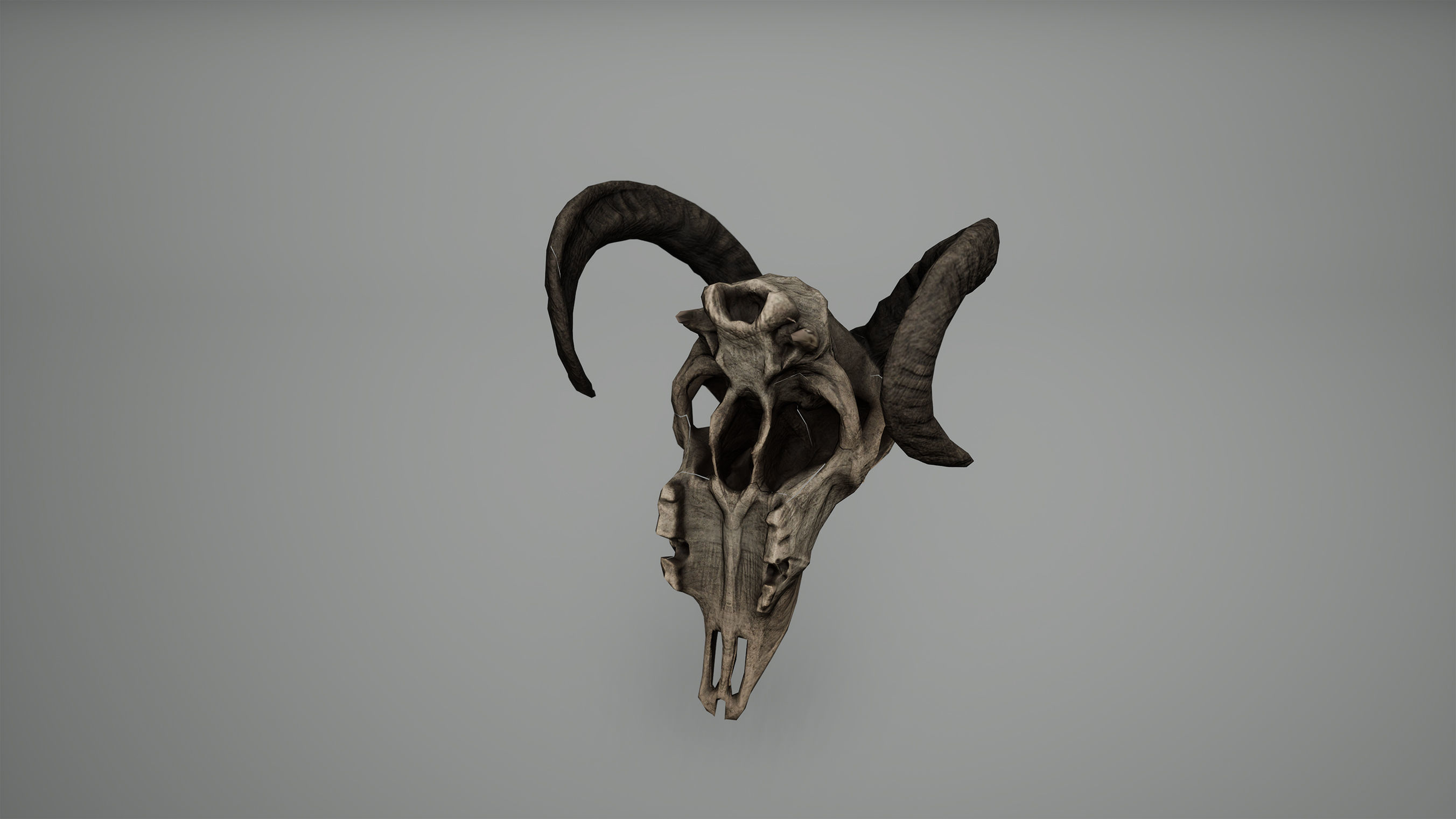 Viking Ram Skull Low Poly Game Ready Low-poly 3D model_5