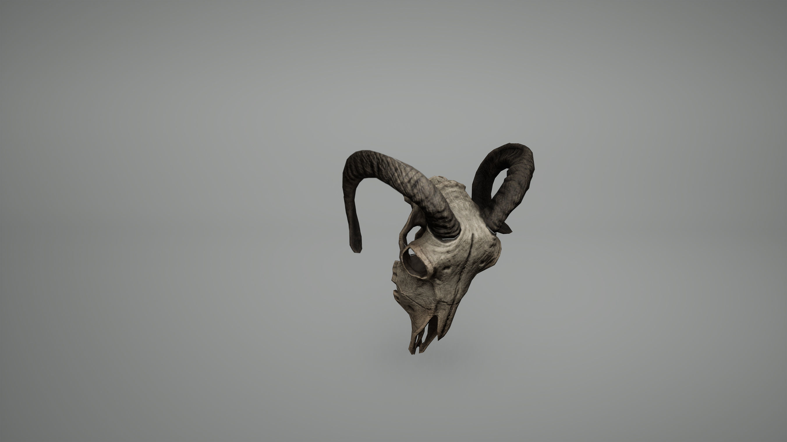 Viking Ram Skull Low Poly Game Ready Low-poly 3D model_4