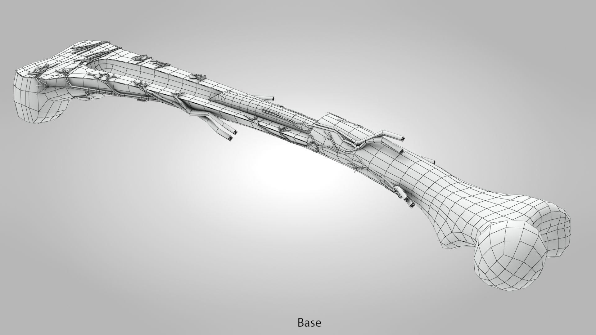 Bone Anatomy Low-poly 3D model_18