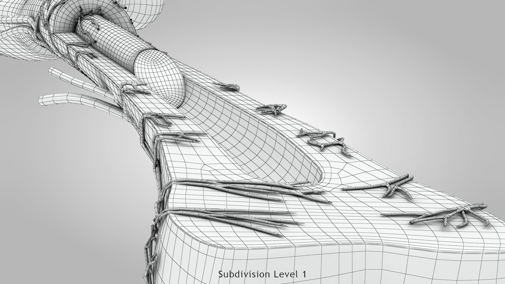 Bone Anatomy Low-poly 3D model_21