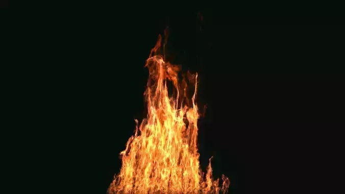 FumeFX Large Scale Fire Low-poly 3D model