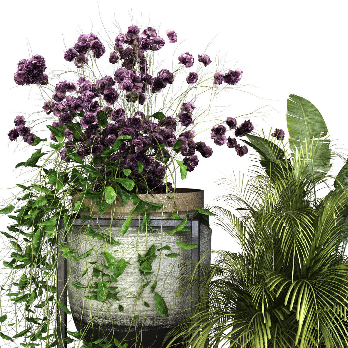 plant set 052 Low-poly 3D model_3