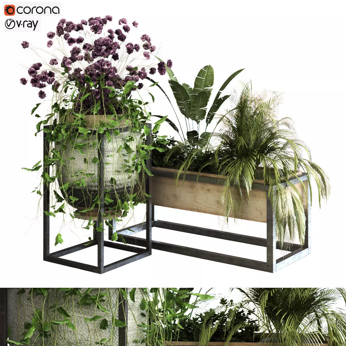 plant set 052 Low-poly 3D model_0