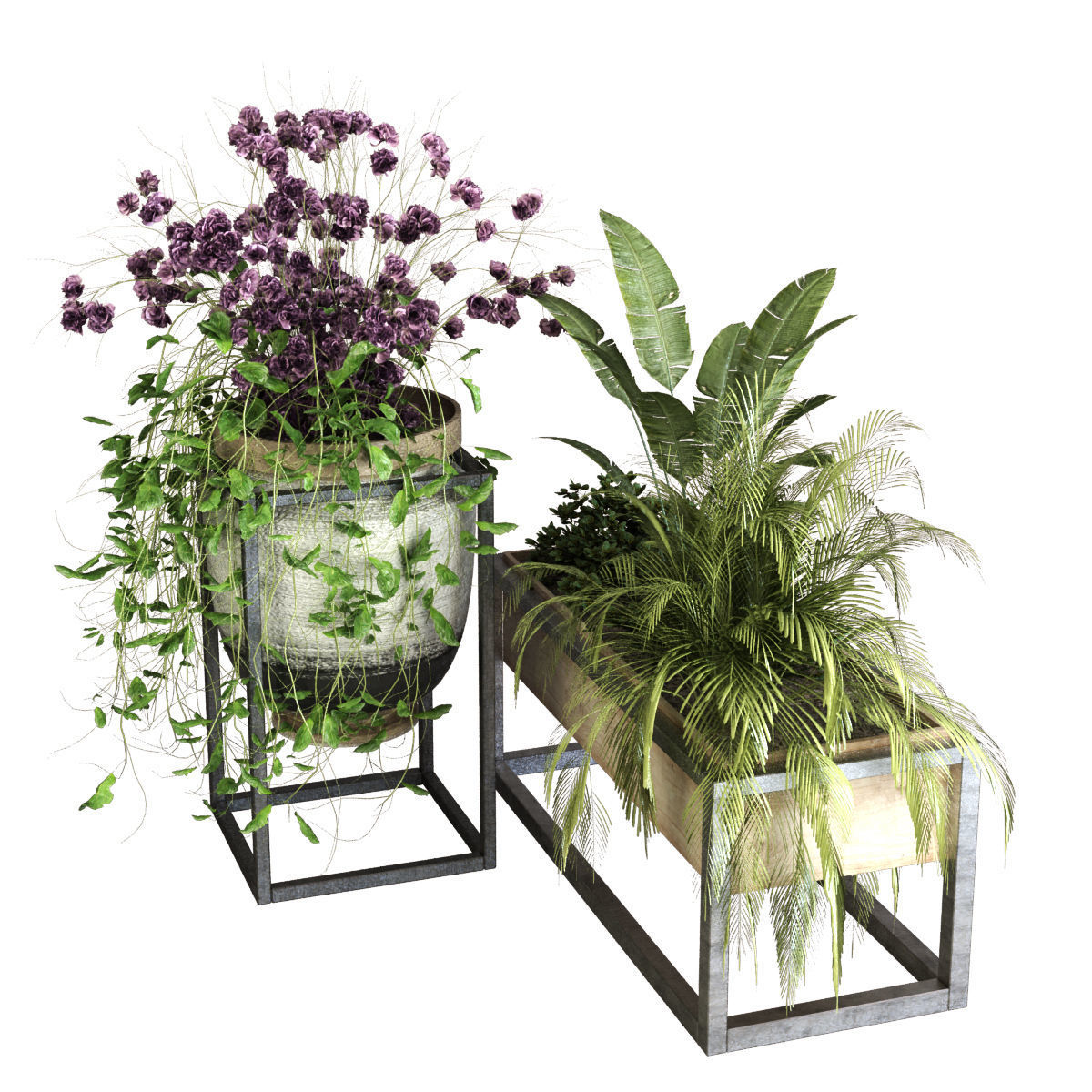 plant set 052 Low-poly 3D model_5