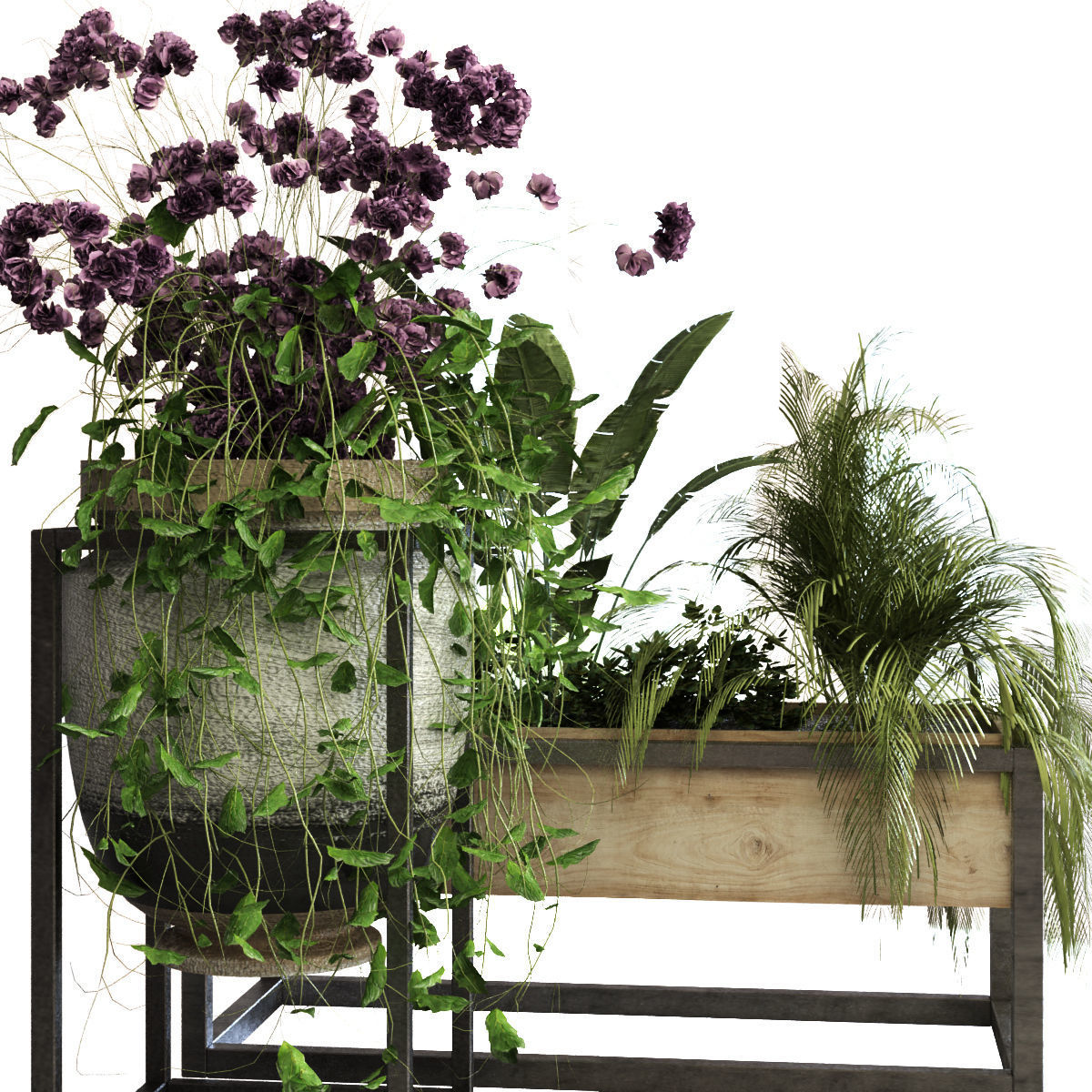 plant set 052 Low-poly 3D model_2