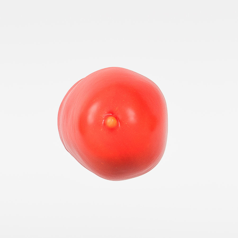 Tomato 3D model_7