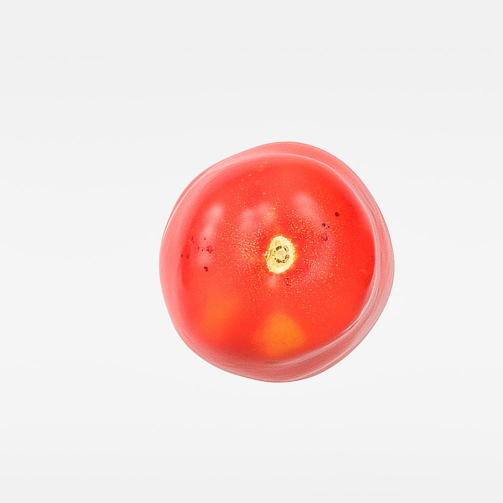 Tomato 3D model_6