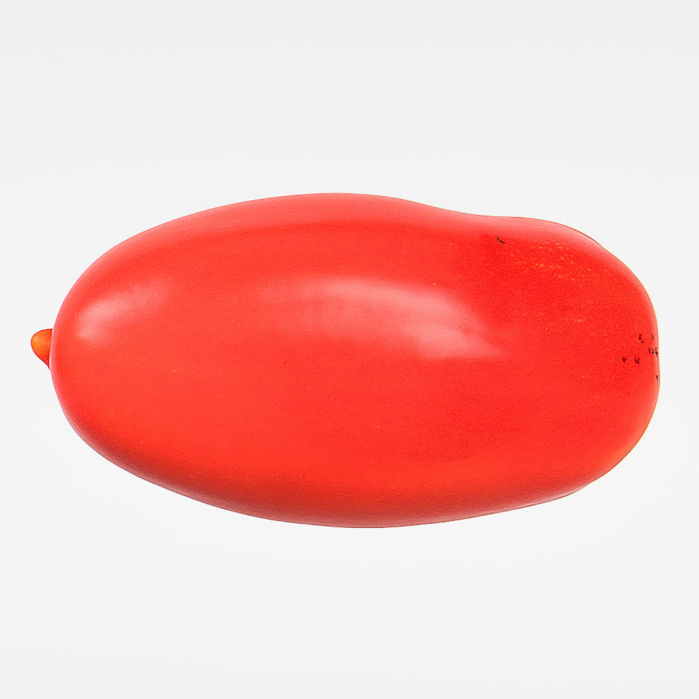 Tomato 3D model_8