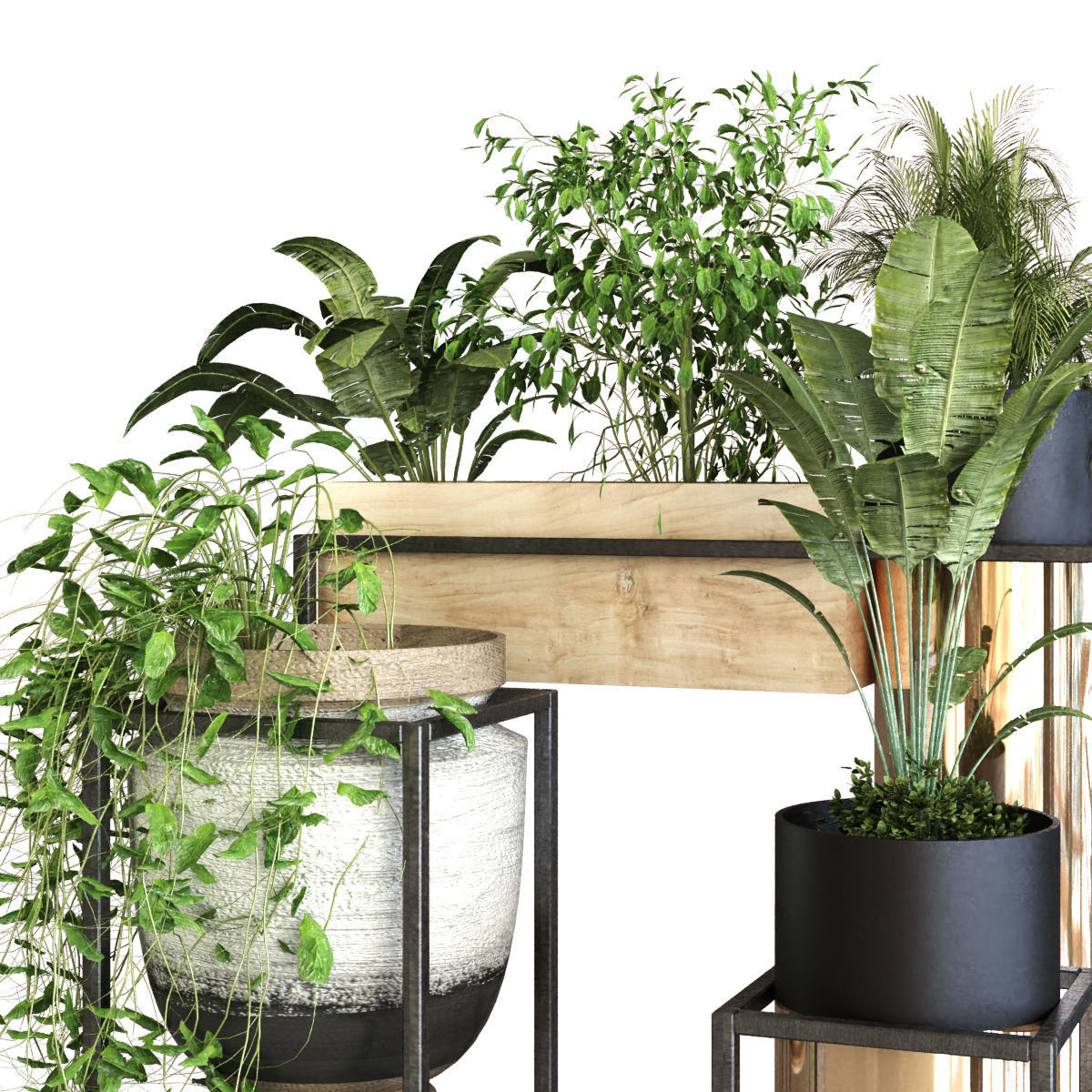 plant set 053 Low-poly 3D model_6